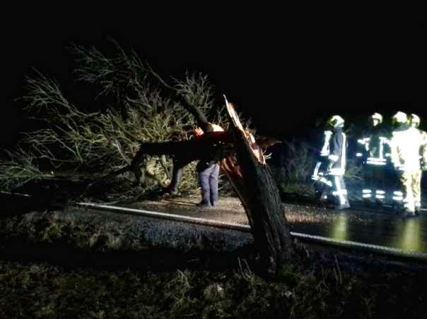 20170223_223215klein